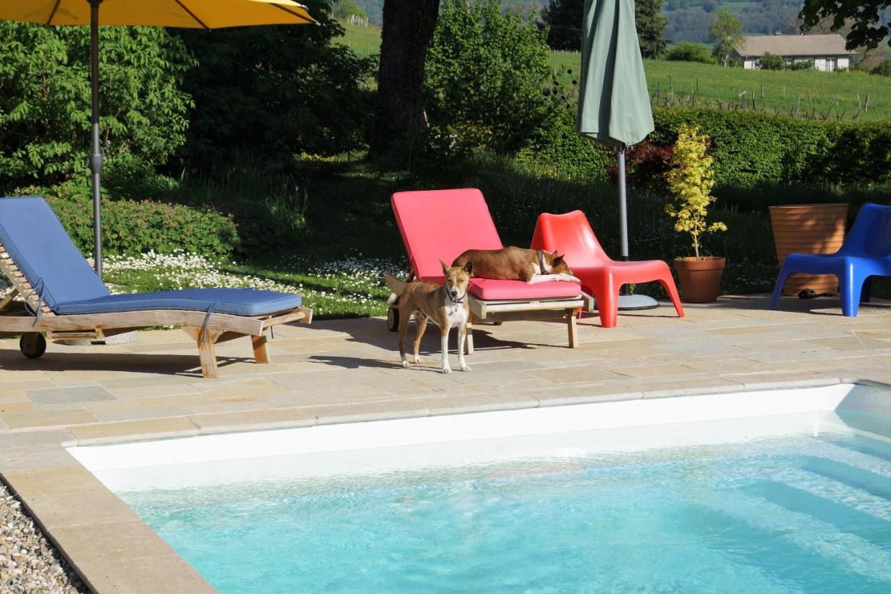 Domaine De Saint Loth' Bed & Breakfast Bagian luar foto