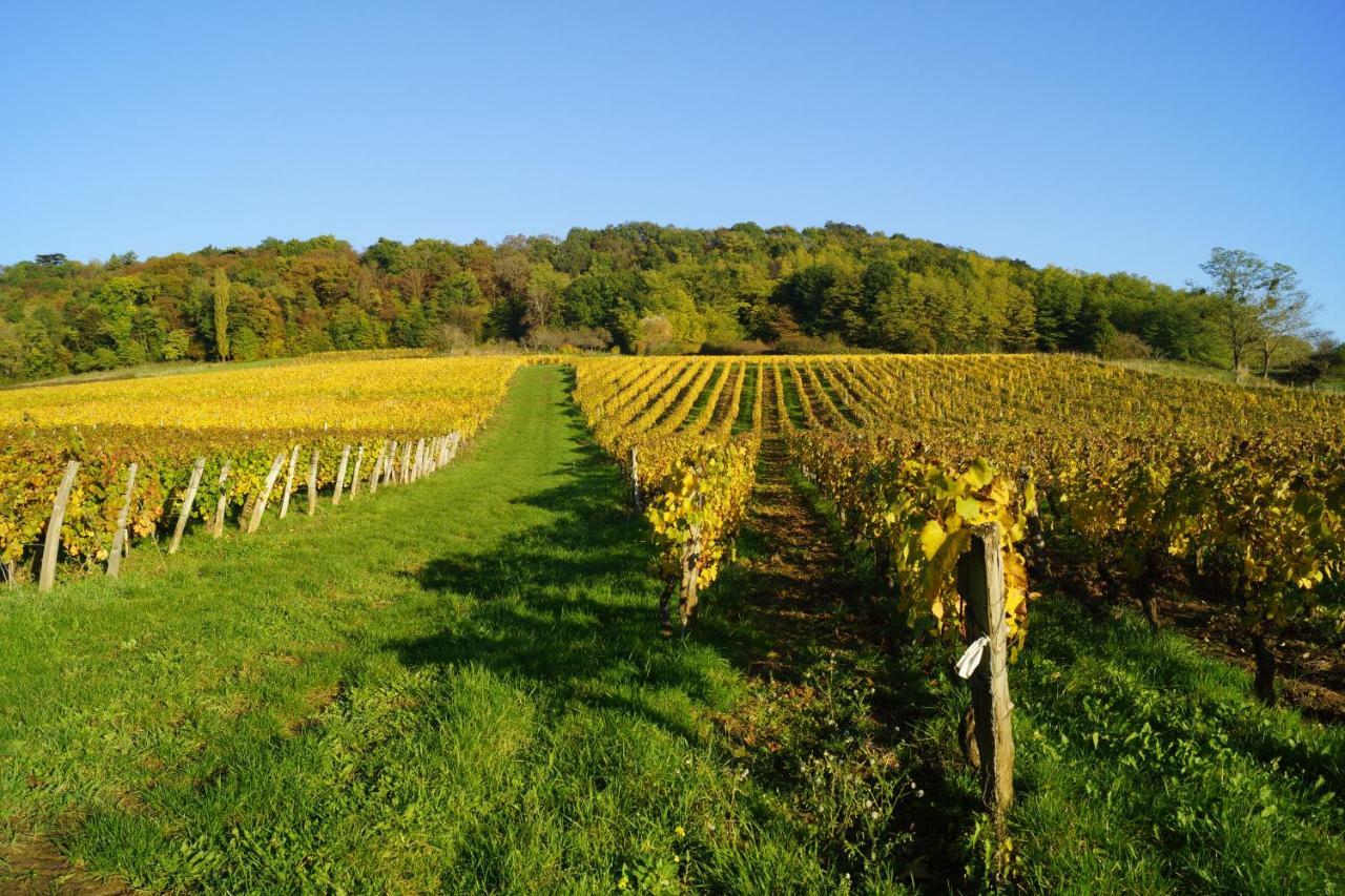 Domaine De Saint Loth' Bed & Breakfast Bagian luar foto